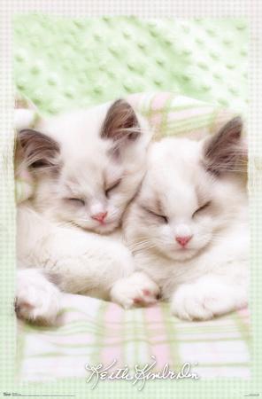 Poster, , small