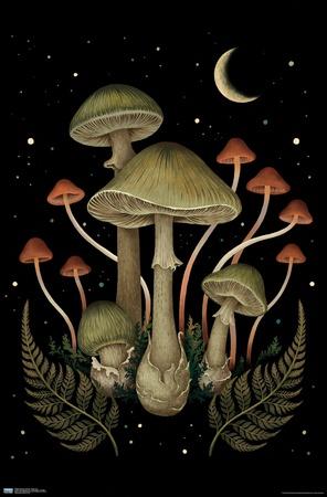Poster, , small