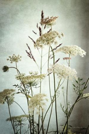 Photographic Print, , small