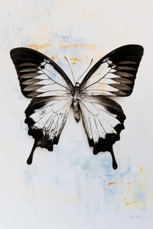 Photographic Print, , small