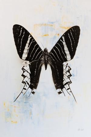 Photographic Print, , small