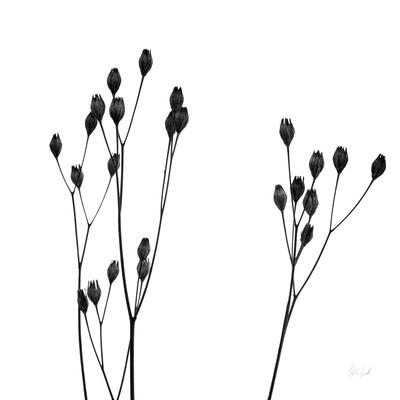 Photographic Print, , small