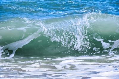 Photographic Print, , small