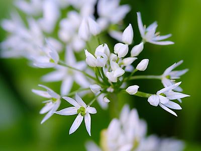 Photographic Print, , small