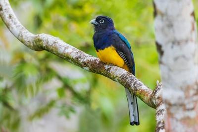 Photographic Print, , small