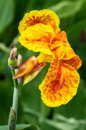 Photographic Print, , small