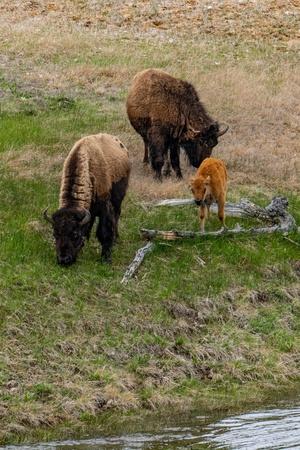 Photographic Print, , small