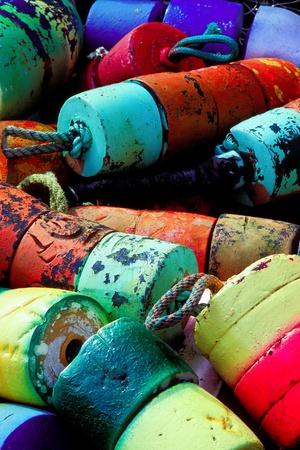 Photographic Print, , small
