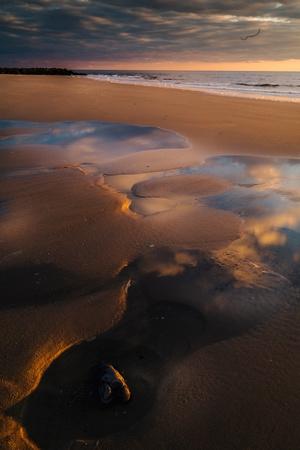 Photographic Print, , small