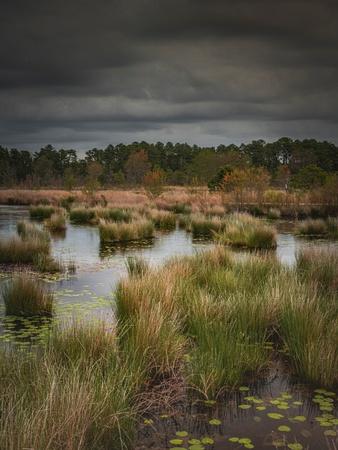 Photographic Print, , small