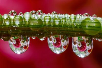 Photographic Print, , small