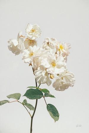 Photographic Print, , small