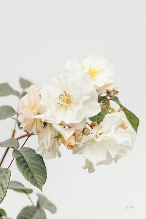 Photographic Print, , small