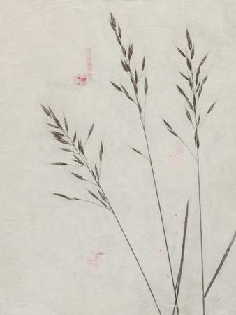 Photographic Print, , small