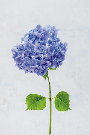 Photographic Print, , small