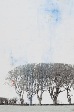 Photographic Print, , small