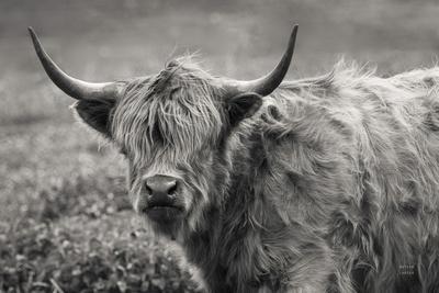 Photographic Print, , small
