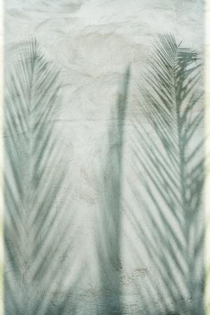 Photographic Print, , small