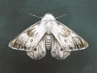Art Print, , small