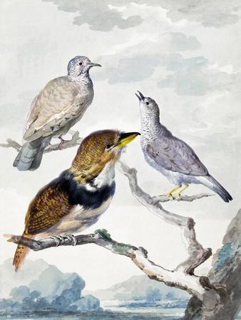 Giclee Print, , small