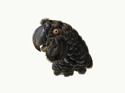Giclee Print, , small