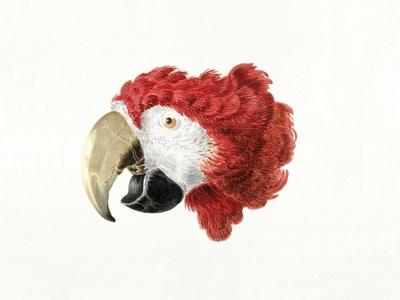Giclee Print, , small