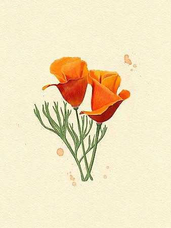 Giclee Print, , small