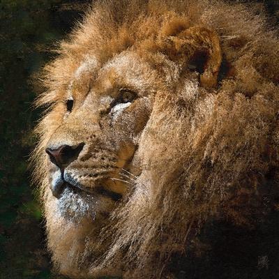 Giclee Print, , small
