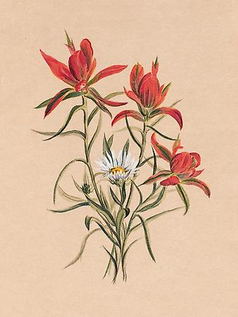 Giclee Print, , small
