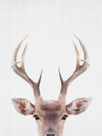 Giclee Print, , small