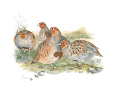 Giclee Print, , small
