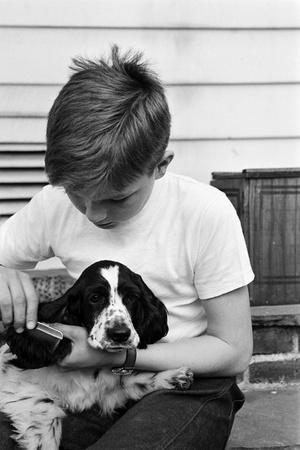 Photographic Print, , small