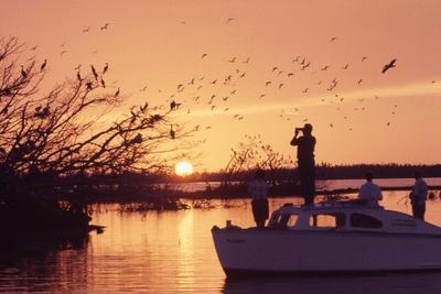 Photographic Print, , small