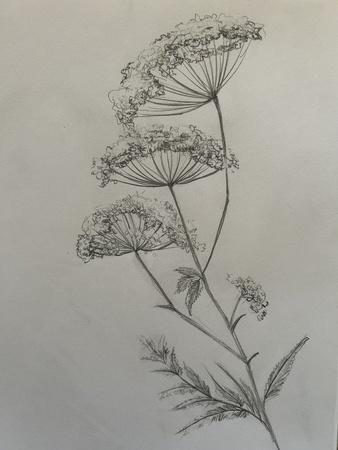 Photographic Print, , small