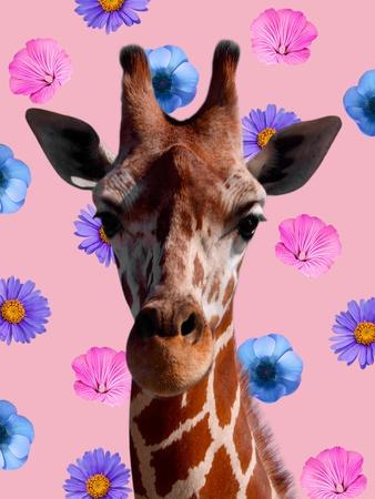 Art Print, , small