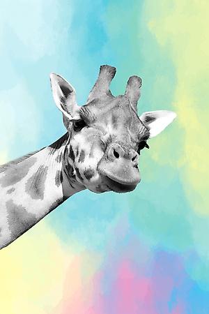 Art Print, , small