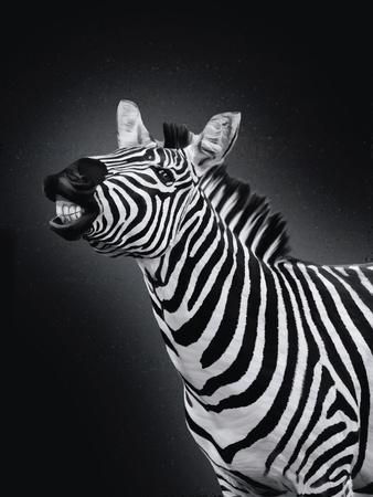Art Print, , small