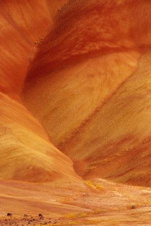 Photographic Print, , small