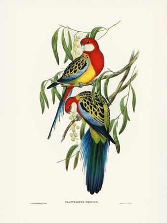 Giclee Print, , small