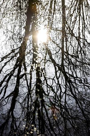 Photographic Print, , small