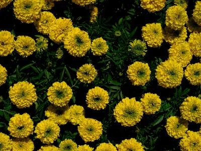 Photographic Print, , small