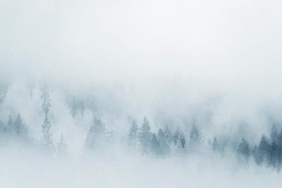 Photographic Print, , small