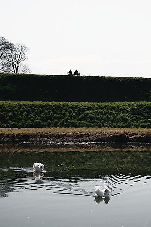 Photographic Print, , small
