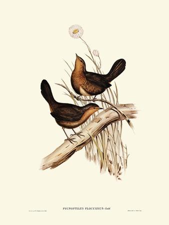 Giclee Print, , small