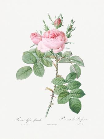Giclee Print, , small