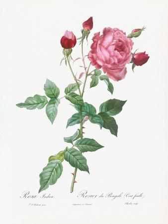 Giclee Print, , small
