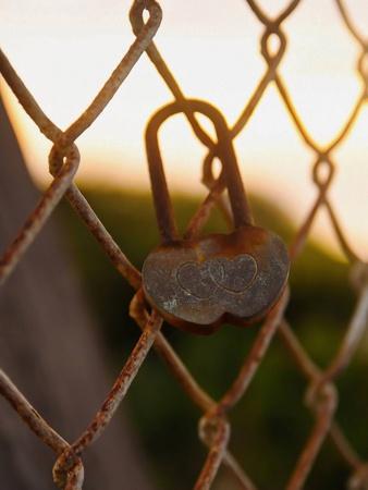 Photographic Print, , small