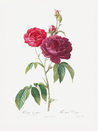 Giclee Print, , small