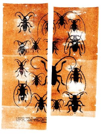 Giclee Print, , small