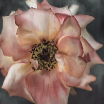 Art Print, , small